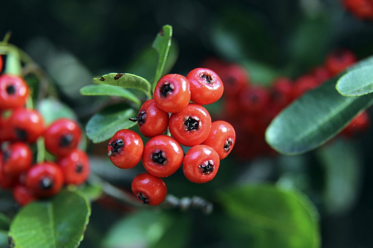 Bsport体育在线官网